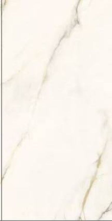 Time Dorado Matte 12 x 24